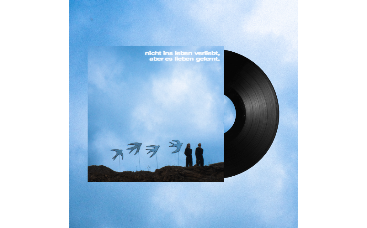  "nicht ins leben verliebt, aber es lieben gelernt." , Vinyl  